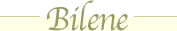 Bilene